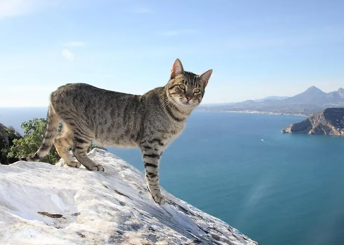 Yoko - Plusholidays *